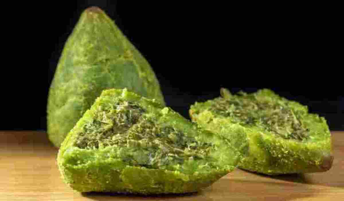  (crédito: Divulgação/Ana Branco)