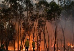 Fumaça de incêndios florestais destrói a camada de ozônio, diz pesquisa