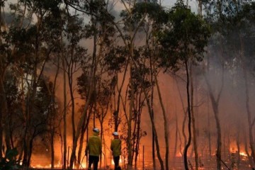 Incêndio florestal na Austrália 2019 -  (crédito: Reprodução)