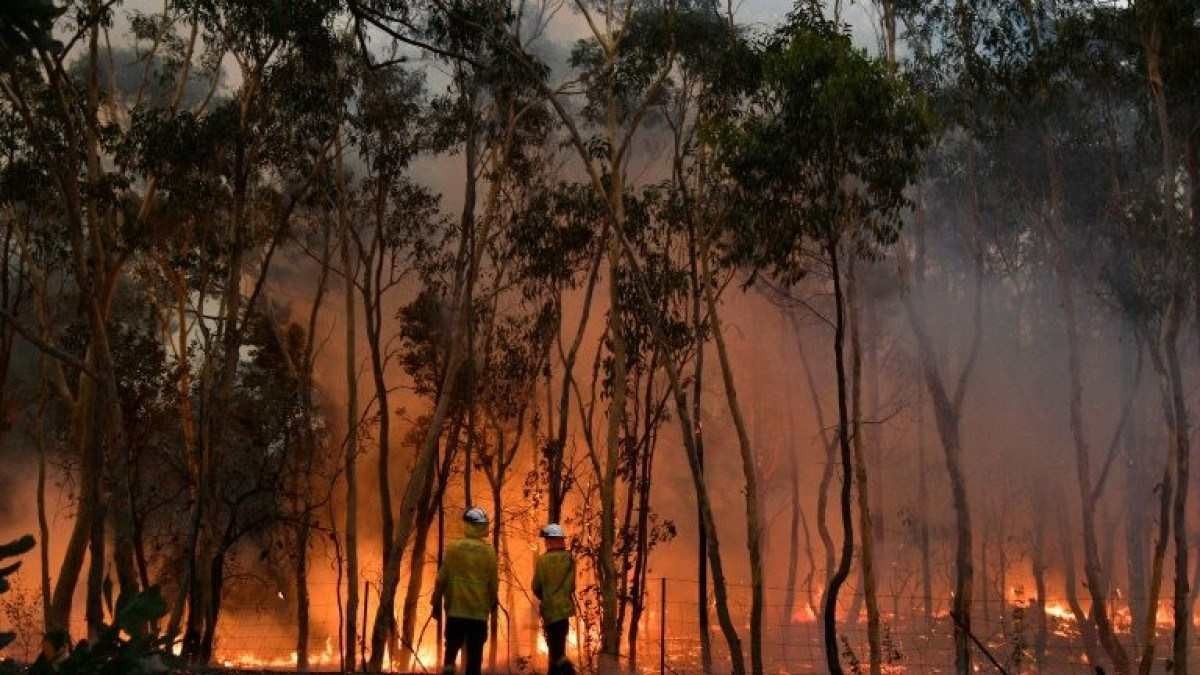 GDF decreta estado de emergência florestal entre junho e novembro de 2024