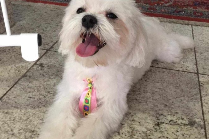  (crédito: Reprodução/Instagram)