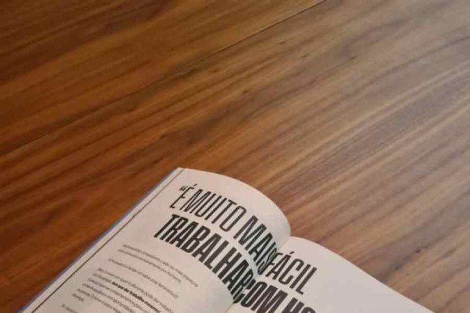  2022. Crédito: Sindilegis/Divulgação. Revista. Trecho do livro 