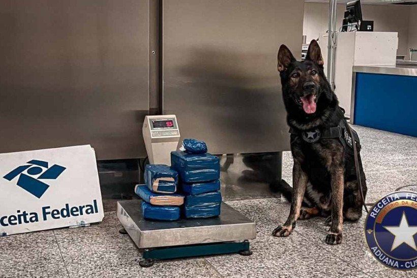 Passageira de 27 anos é presa com 9kg de maconha no Aeroporto de Brasília