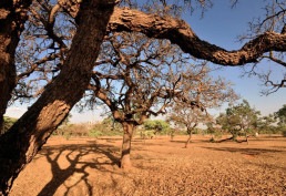 Mudanças no clima agravam abastecimento de água e segurança hídrica