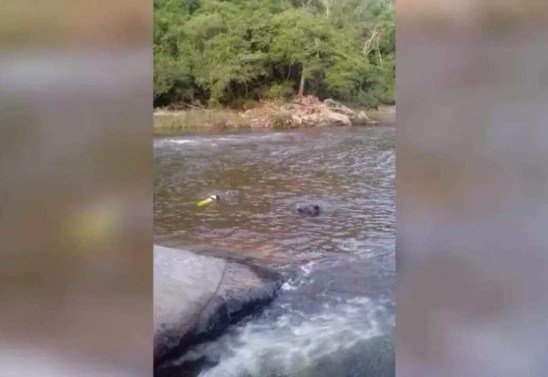 Corpo de Bombeiros de MG/Divulgação