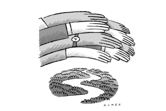 (crédito: Caio Gomez) (crédito: Caio Gomez)