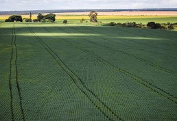 Mapa lança portal sobre ecossistema de inovação agro no país