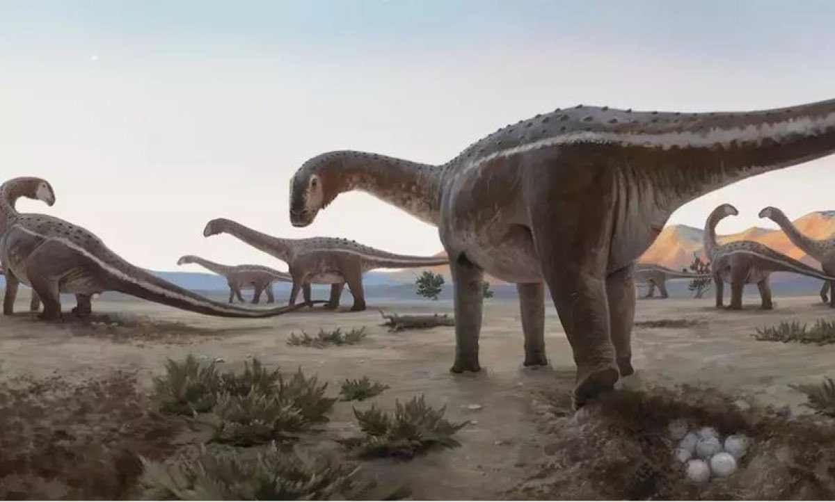 Ovos de dinossauros encontrados em Minas ganham destaque em revista inglesa