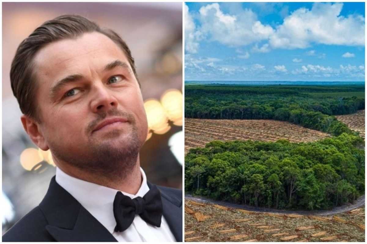 Leonado Dicaprio celebra projetos de restauração da Mata Atlântica