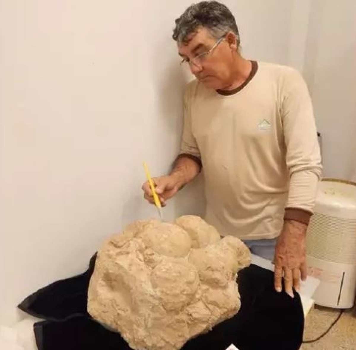 O preparador de fósseis do Museu Paleontológico de Uberaba, João Ismael da Silva

