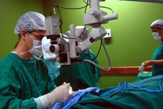 (crédito: Elza Fi..za/Ag..ncia Brasil) (crédito: Elza Fi..za/Ag..ncia Brasil)