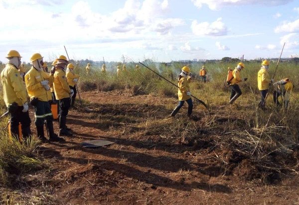 Trabalho de brigadistas começou em março. Foco é realização das ações de prevenção até setembro