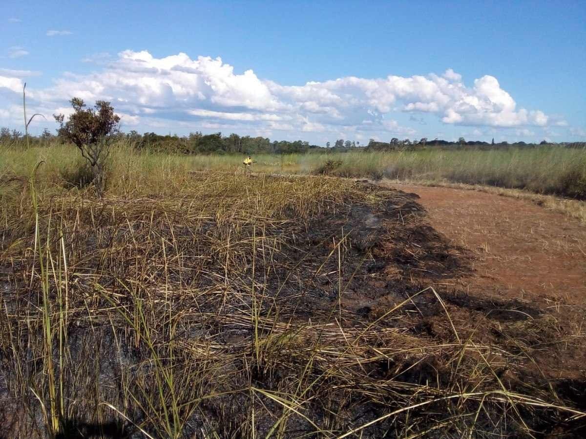 Brigadistas fazem queima controlada em áreas de preservação do DF