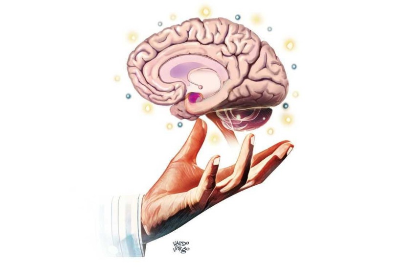 Quando a emoção fala mais alto: saiba como funciona a amígdala cerebral