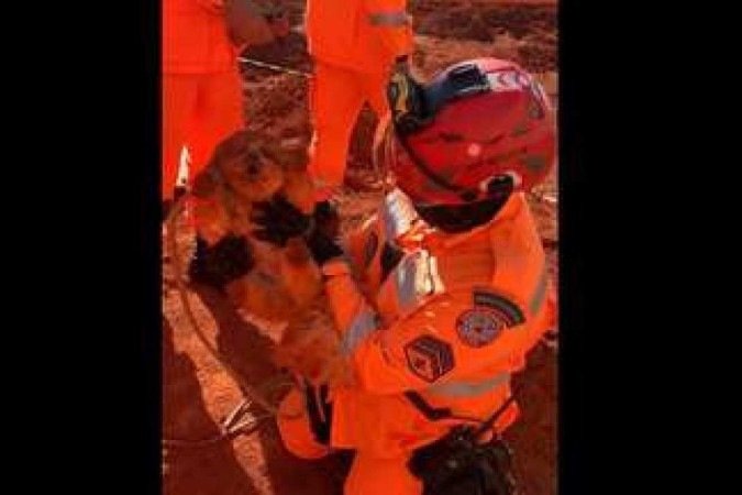  (crédito: Repdorução/CBMG)