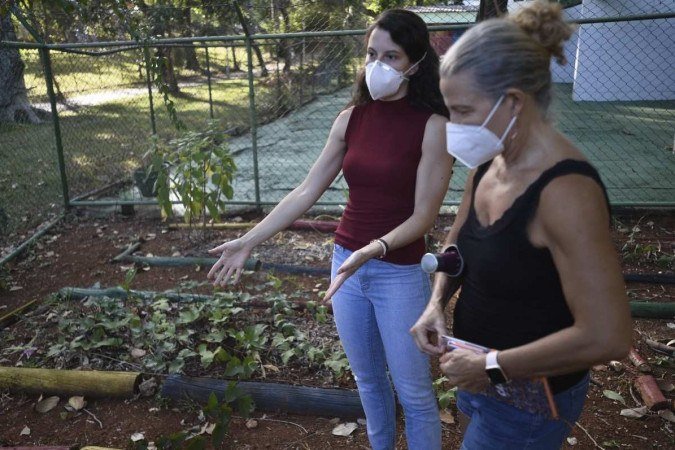  06/04/2022 Crédito: Minervino Júnior/CB/D.A Press. Brasil.  Brasilia - DF. Caderno Brasília. Horta comunitária na 114 sul. Giovanna Bitencourt(cam vermelha) e Suzana Ramos.