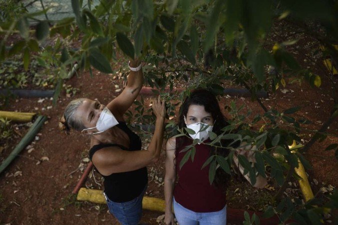  06/04/2022 Crédito: Minervino Júnior/CB/D.A Press. Brasil.  Brasilia - DF. Caderno Brasília. Horta comunitária na 114 sul. Giovanna Bitencourt(cam vermelha) e Suzana Ramos.
