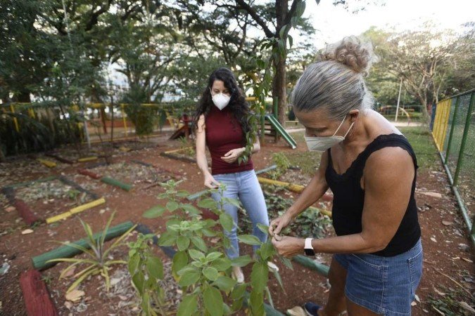  06/04/2022 Crédito: Minervino Júnior/CB/D.A Press. Brasil.  Brasilia - DF. Caderno Brasília. Horta comunitária na 114 sul. Giovanna Bitencourt(cam vermelha) e Suzana Ramos.