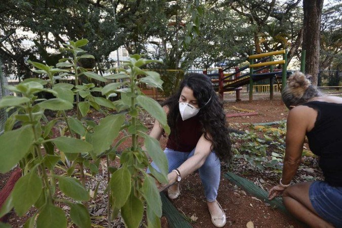  06/04/2022 CrÃ?Â©dito: Minervino JÃ?Âºnior/CB/D.A Press. Brasil.  Brasilia - DF. Caderno BrasÃ?Â­lia. Horta comunitÃ?Â¡ria na 114 sul. Giovanna Bitencourt(cam vermelha) e Suzana Ramos.