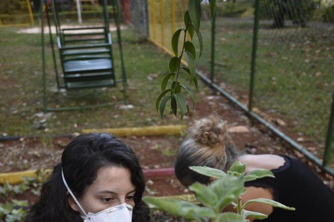  06/04/2022 CrÃ©dito: Minervino JÃºnior/CB/D.A Press. Brasil.  Brasilia - DF. Caderno BrasÃ­lia. Horta comunitÃ¡ria na 114 sul. Giovanna Bitencourt(cam vermelha) e Suzana Ramos.
      Originating 