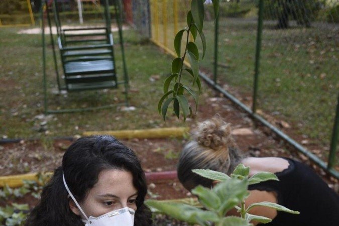  06/04/2022 CrÃ©dito: Minervino JÃºnior/CB/D.A Press. Brasil.  Brasilia - DF. Caderno BrasÃ­lia. Horta comunitÃ¡ria na 114 sul. Giovanna Bitencourt(cam vermelha) e Suzana Ramos.
      Originating 