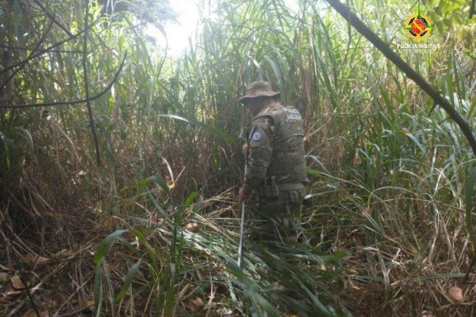 Policias buscam cobra na região do Gama - (crédito: PMDF/Divulgação) Policias buscam cobra na região do Gama - (crédito: PMDF/Divulgação)