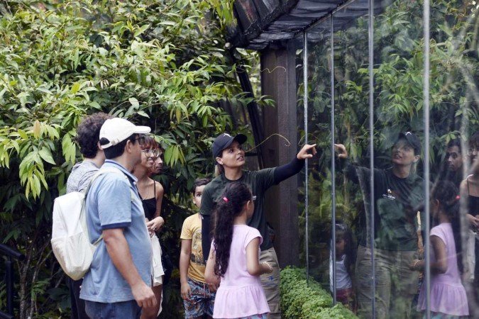 Área especial do zoo recebe grupos de até 10 pessoas, que fazem eio com acompanhamento de monitores da equipe de educação ambiental: aprendizagem e preservação - (crédito: Minervino Júnior/CB) Área especial do zoo recebe grupos de até 10 pessoas, que fazem eio com acompanhamento de monitores da equipe de educação ambiental: aprendizagem e preservação - (crédito: Minervino Júnior/CB)