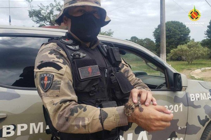 (crédito: PMDF) (crédito: PMDF)