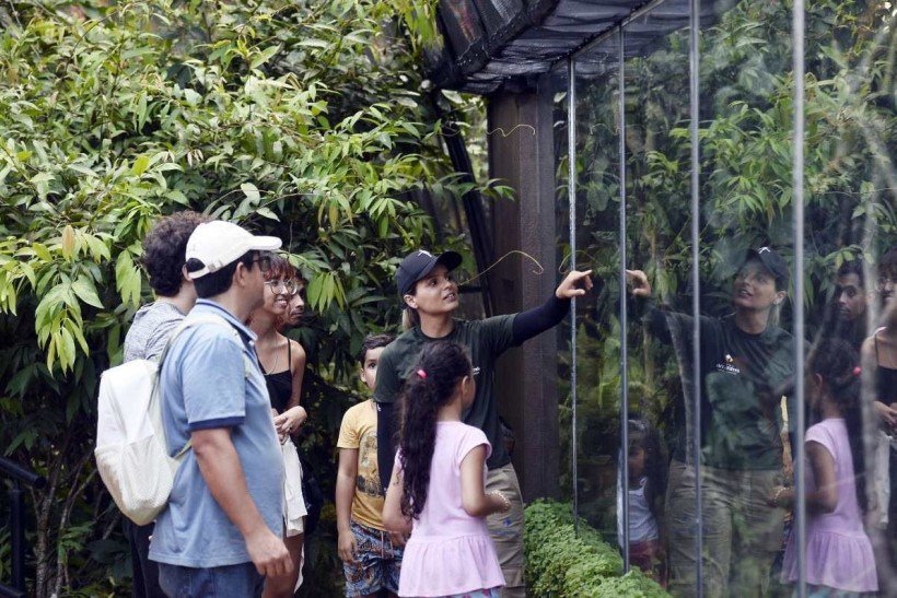 Borboletário do Zoológico de Brasília reabre as portas com novidades