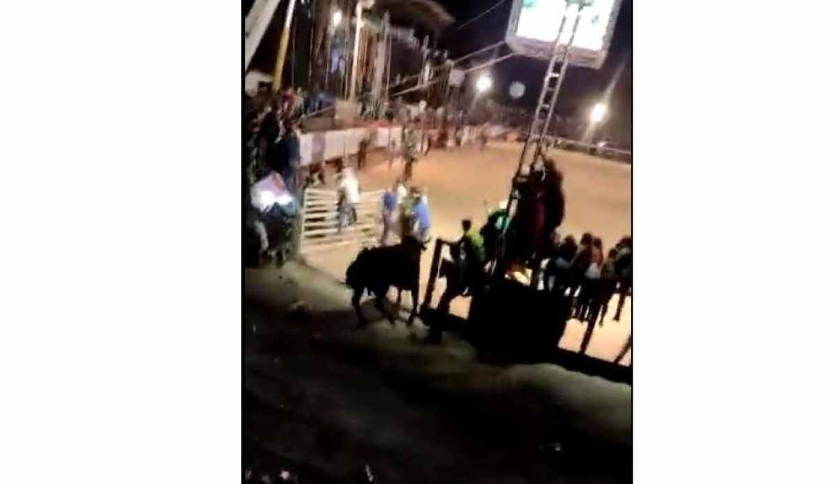 Criança e mulher acabam internadas após touro escapar de rodeio