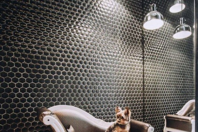 Hotel canino da Pookie Pet (@pookiepet)