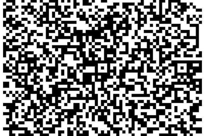 (crédito: QR Code) (crédito: QR Code)