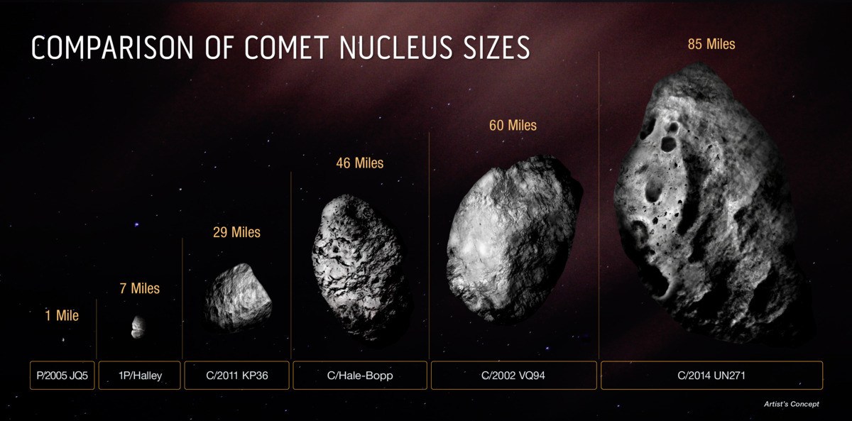  This diagram compares the size of the icy, solid core of comet C/2014 UN271 (Bernardinelli-Bernstein) with several other comets.  Most observed comet nuclei are smaller than those of Halley's comet