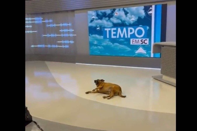 (crédito: Reprodução/Twitter) (crédito: Reprodução/Twitter)