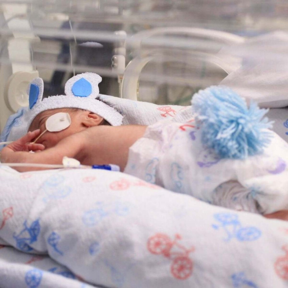 Bebês internados em maternidade escola ganham mesversários da equipe  Neonatal; veja fotos - Ceará - Diário do Nordeste