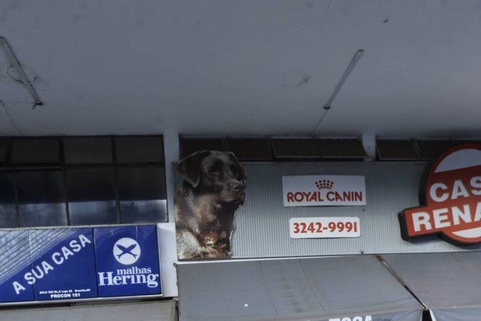  18/04/2022 Crédito: Minervino Júnior/CB/D.A Press. Brasil.  Brasilia - DF. Caderno Aniversário de Brasília. Comerciantes que são vizinhos na 308 Sul. Francisco de Andrade proprietário da Casa Renato e seu amigo vizinho Jean Souza(cam. Azul)