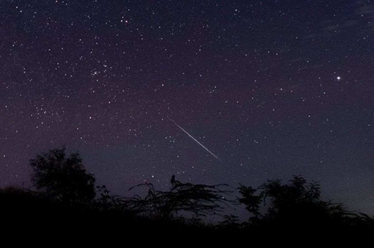 Chuva de meteoros Líridas tem pico nesta madrugada; saiba como observar