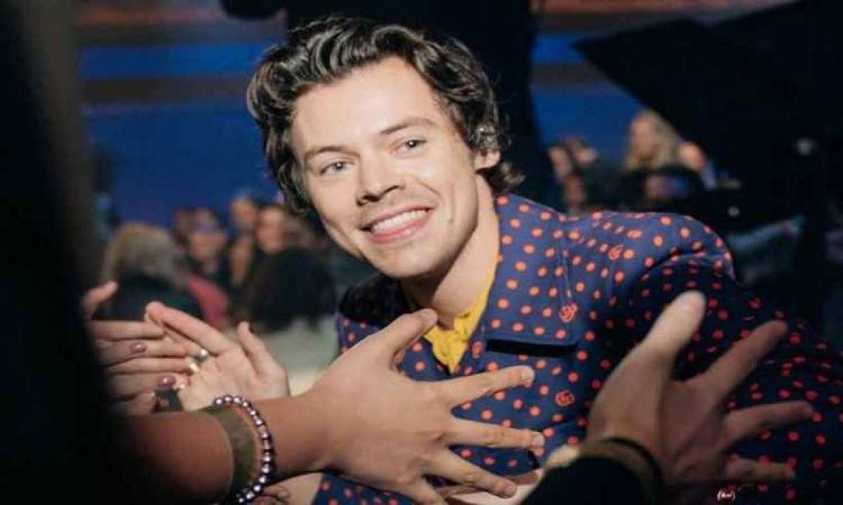 Brasileira é presa acusada de perseguir cantor Harry Styles