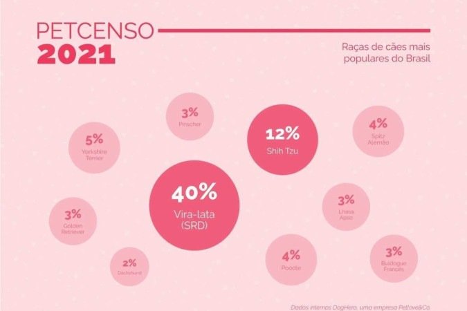  2022. Crédito: DogHero/Divulgação. Revista. Bichos. Dados das raças de cães mais populares do PetCenso 2021, feitos pela DogHero. 