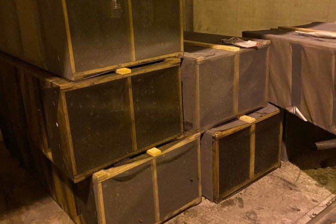 Milhões de abelhas destinadas ao Alasca são redirecionadas e morrem em Atlanta