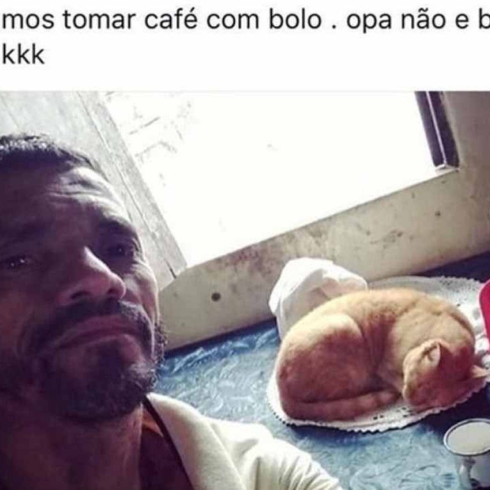 Gato Januário, famoso pelo meme 'opa não é bolo', morre no Ceará