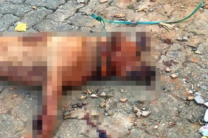 (crédito: Divulgação Corpo de Bombeiros) (crédito: Divulgação Corpo de Bombeiros)