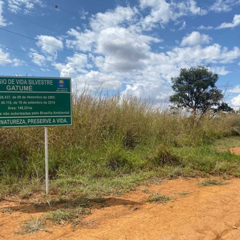 Caso de mulher morta, deixada nua e incendiada intriga a polícia