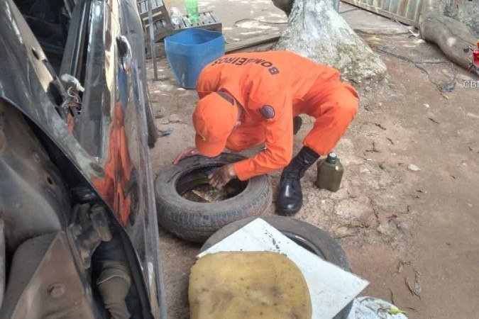 Cerca de 300 bombeiros ajudam nesta guerra contra o mosquito