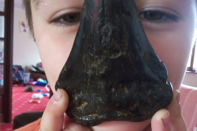 Sammy Shelton encontrou o dente gigante em uma praia de Suffolk, sul da Inglaterra - Sammy Shelton encontrou o dente gigante em uma praia de Suffolk, sul da Inglaterra -