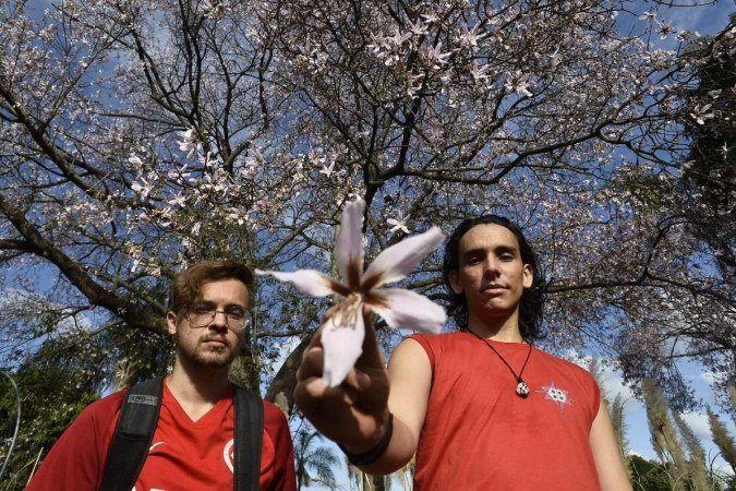  Os amigos Felipe Orcelli e Hiago Oliveira aproveitam a sombra da árvore que fica na Universidade de Brasília (UnB) para praticar capoeira