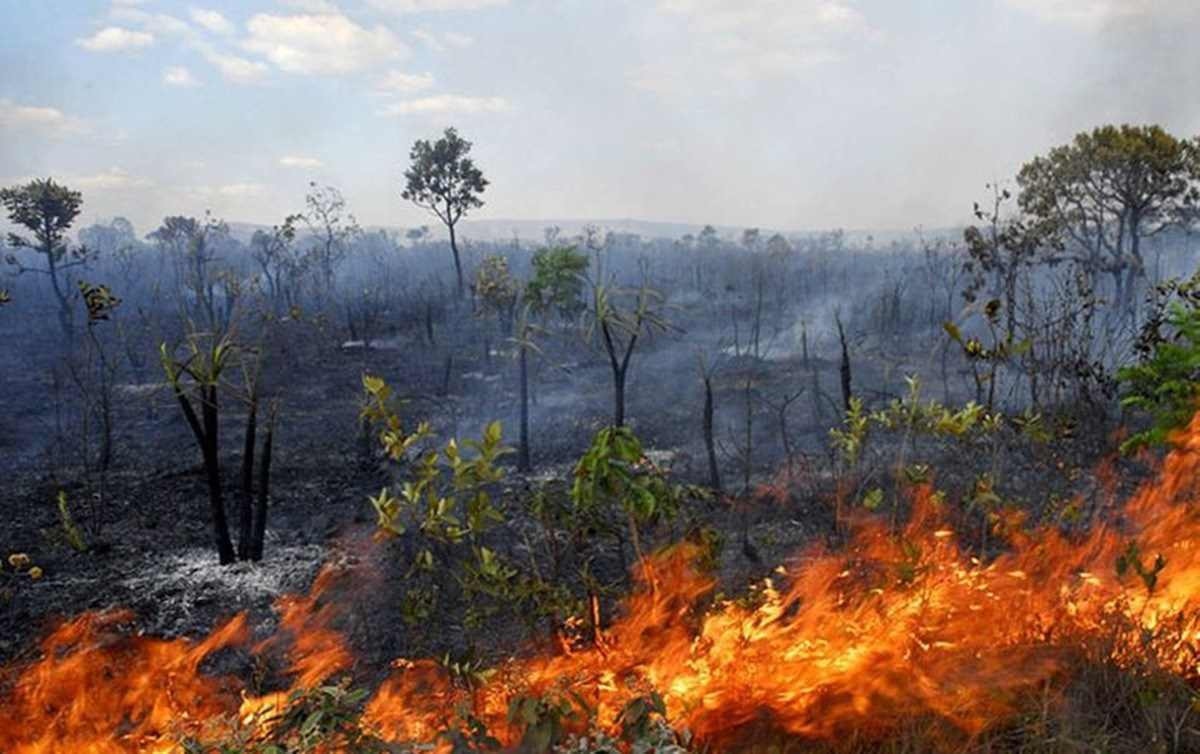 R$ 27 milhões! Mega-Sena sorteia hoje (13/7) concurso 2500 - Nacional -  Estado de Minas