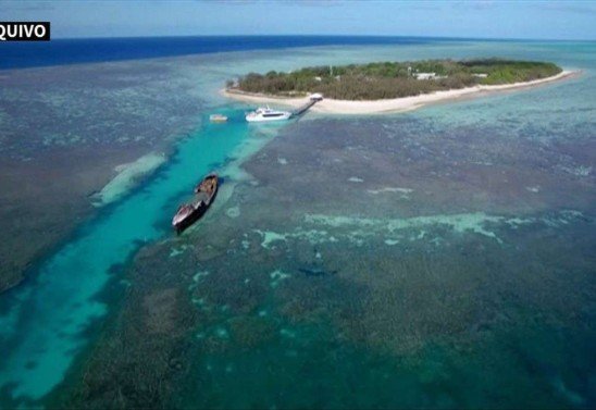 Great Barrier Reef Foundation / TESS MARIORITY/UNIVERSITY OF NEWCASTLE / AFP