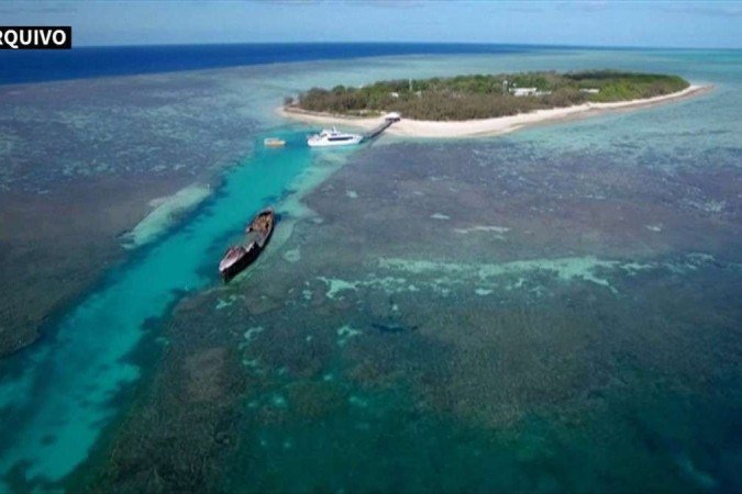 (crédito: Great Barrier Reef Foundation / TESS MARIORITY/UNIVERSITY OF NEWCASTLE / AFP) (crédito: Great Barrier Reef Foundation / TESS MARIORITY/UNIVERSITY OF NEWCASTLE / AFP)