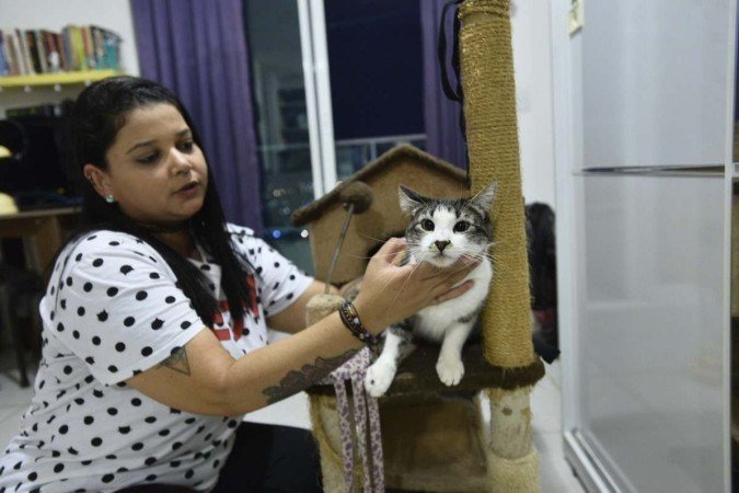Andrea Gallo adotou trabalho de cuidadora de pets como função principal - (crédito: Minervino Júnior/CB/D.A.Press) Andrea Gallo adotou trabalho de cuidadora de pets como função principal - (crédito: Minervino Júnior/CB/D.A.Press)